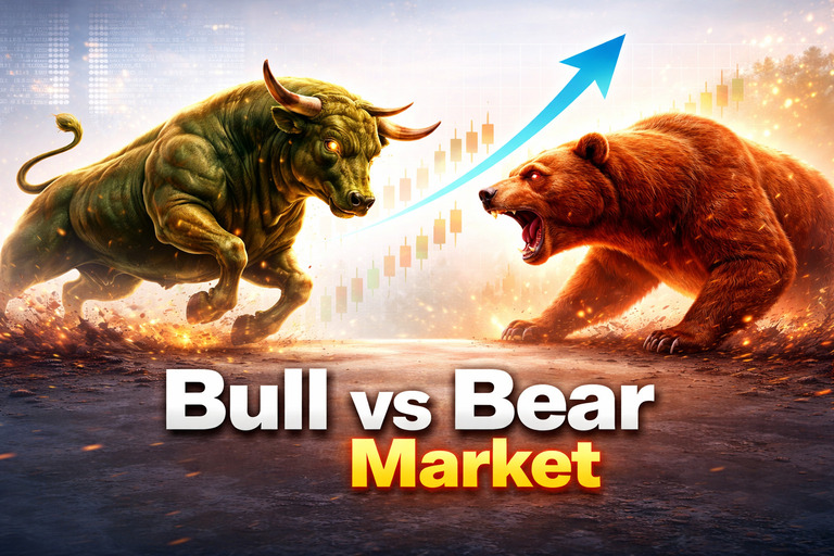 bull bear illustration